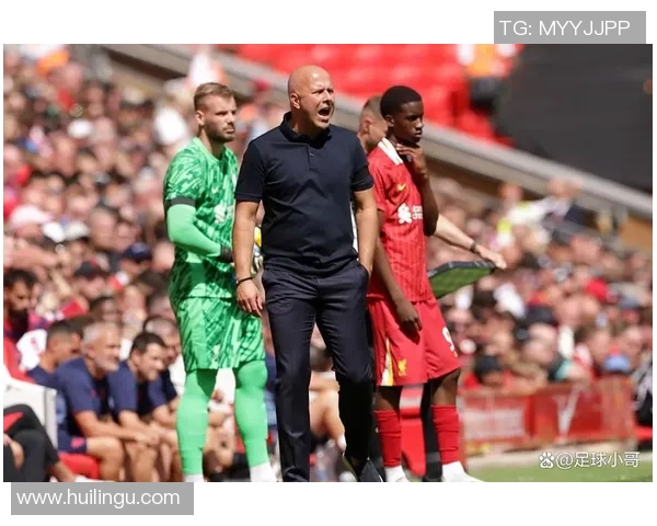 意甲激战：多特蒙德与利物浦战成平局精彩瞬间回顾与十大进球盘点